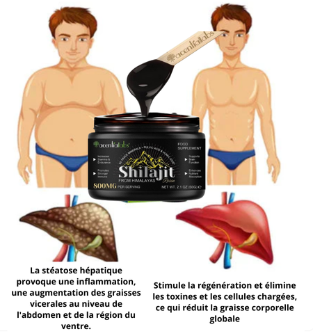 SHILAJIT Naturel pure de l'Himalaya homme & femme: Source de Vitalité et de Bien être
